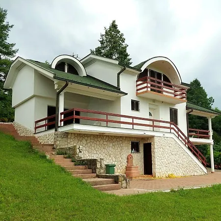 Ranc Aleksici
